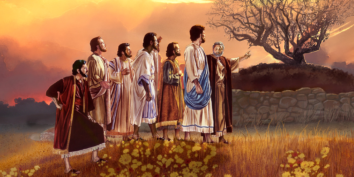 Sexta-feira, 29 de Maio de 2026 – 8ª Semana do Tempo Comum, Ano Par (II). ‘A fé em nosso Senhor Jesus Cristo deve crescer e produzir frutos de piedade e de boas obras, que glorifiquem a Deus!’